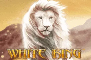 Playtech : White King - TROPICANA77